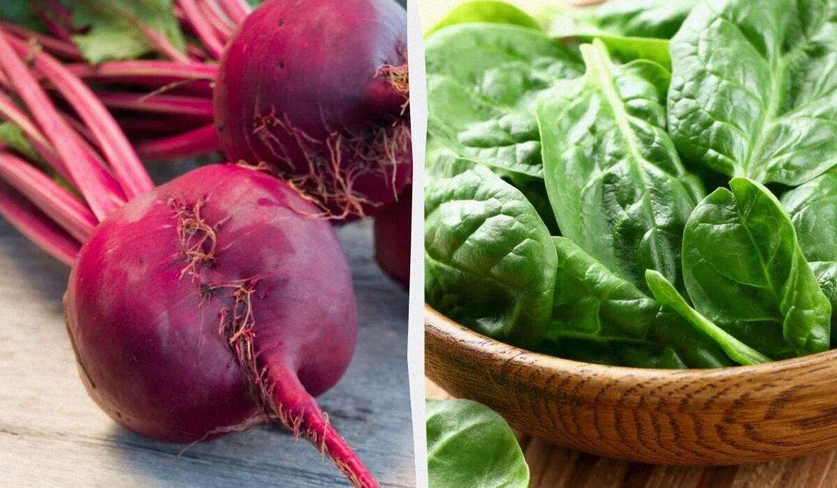 Забота о здоровье: 11 овощей, богатых магнием, которые стоит добавить в рацион