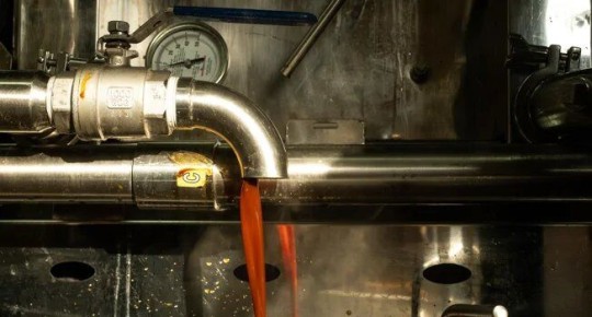 Пензенский кленовый сироп: от леса до стола