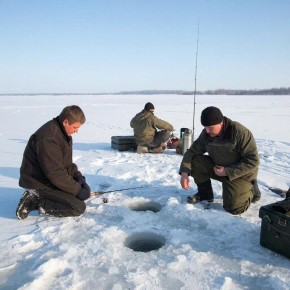 �� ������ �����: ��� ��������� ������ ������� �� �������� ��������� ������� ���������� ������� �������