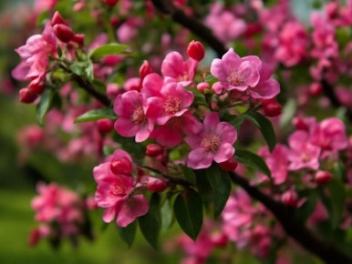 ��� ��������� ������������ �������: ������� ��������� ��� ����� ��� ��������