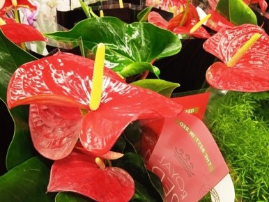 ��������� ����� �� ����������: 7 �������� �������� ��� ������ ��������