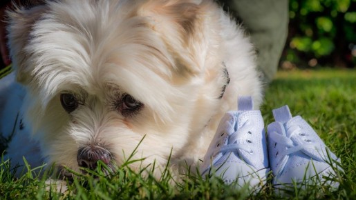 ����� �� ������� ����� �������: ��������� �������� ����� � �������