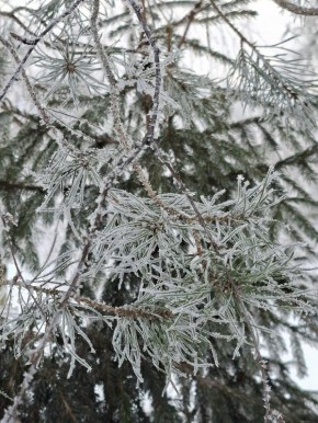 � ��������� ������� 1 ������� ��������� �������� ������, �������� � ������������ ��������������