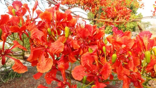 ����� ������� � ����� ���������: ��� �������� �� ������ ��������