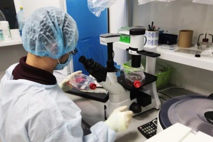 Эпштейну предлагали поучаствовать в проекте создания «дизайнерских детей» с экспериментами в лаборатории на Украине