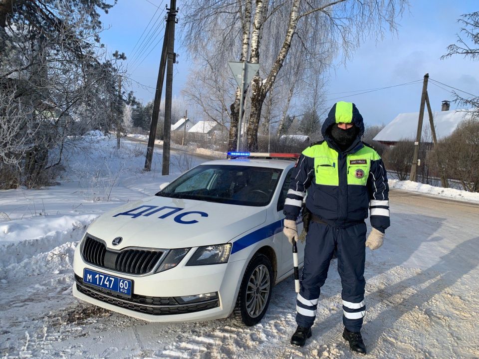 ���������� ���������������� �� ��� ������ ���������� ��������� ���������������� ���������������� �����������, ������������ �� ����������� ������������ ��������� �������� � ���������� ��������� ������ ��������� ��������...