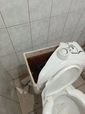 ������ ����� � �������, ������� ������������ ������ ����������� �����