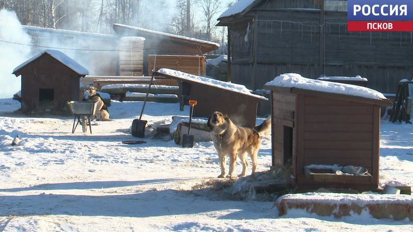 � ��������� ������ ��� �������� "���������" �������� ��������