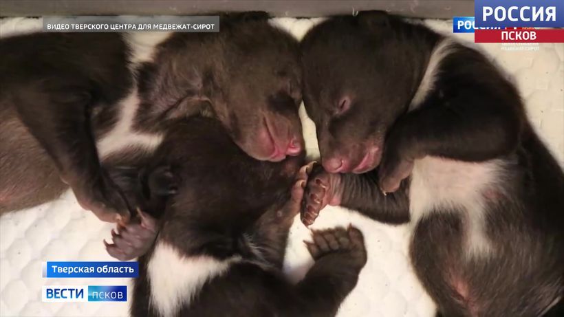 ��������� � ���������� ����� ������ ���������� ��������� �������� ���