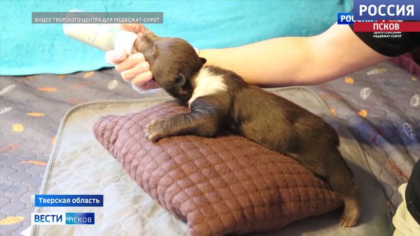 ��������� � ���������� ����� ������ ���������� ��������� �������� ���