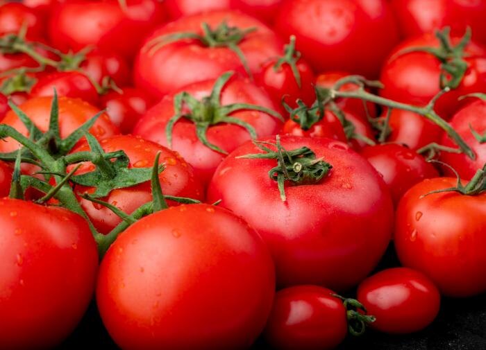 Как правильно подкармливать томаты для богатого урожая