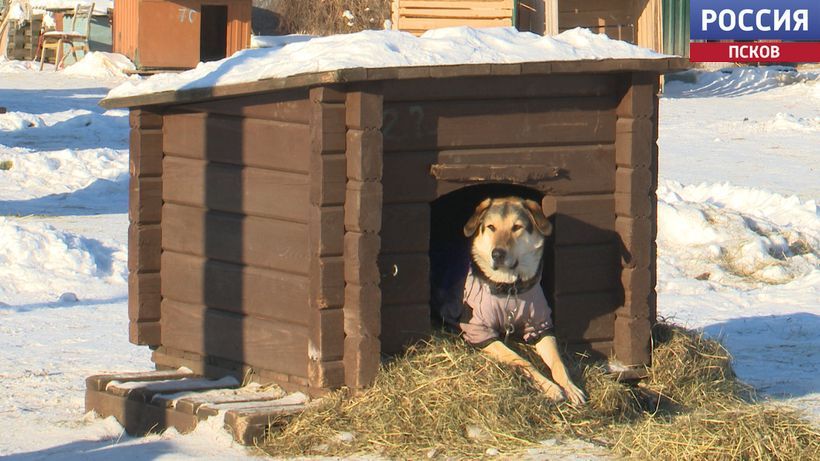 � ��������� ������ ��� �������� "���������" �������� ��������