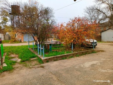 ����� ����� � ������ ���������: ���� � �������������� �������� ����