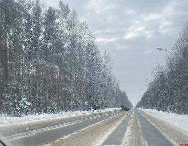 ���� ����� �������� �� ������ � ������ ��������� ������� ����� ���