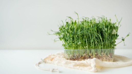 ������� �������� �������: ����� ��������� ����������� ������ ����� ��� ���������