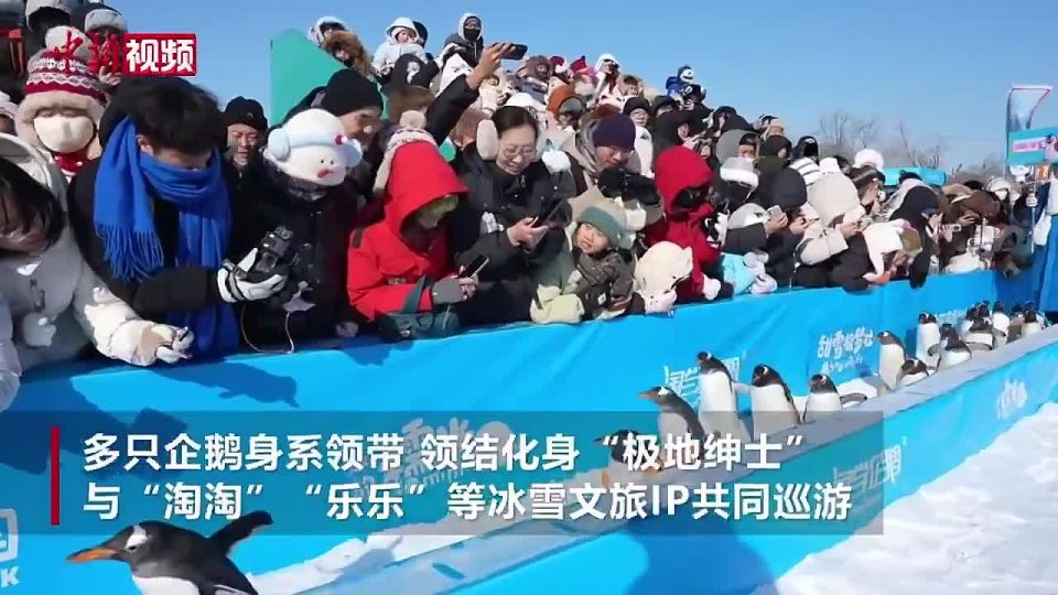 � ������� ������ ��������� ����� ���������