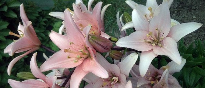 ����� ����� �� �������: ��� ��������� ����� �����