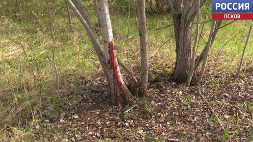 ������� ��������� ��������� ��� ���������� ���� � ��������� ��������, ������� ���������� � �������� ��������� � ��������