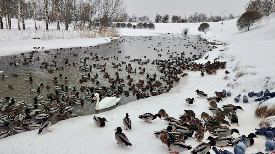 � ����� �� ����������: ������ ����� � ����� ������� � �����