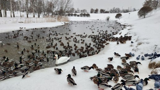 � ����� �� ����������: ������ ����� � ����� ������� � �����