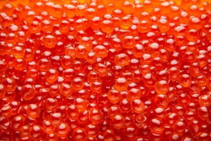 ��� � ����������������� ����: ��� �������� �� ����������� � ����� �� ��������