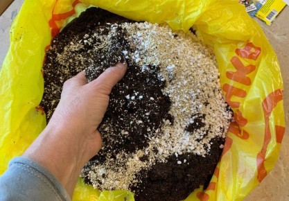 ��� ����������� �������� �������� ������� ������ �����