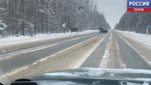 ������������ �������� ��������� ������ � ������ ����� ����������� ��� � ���������� �����