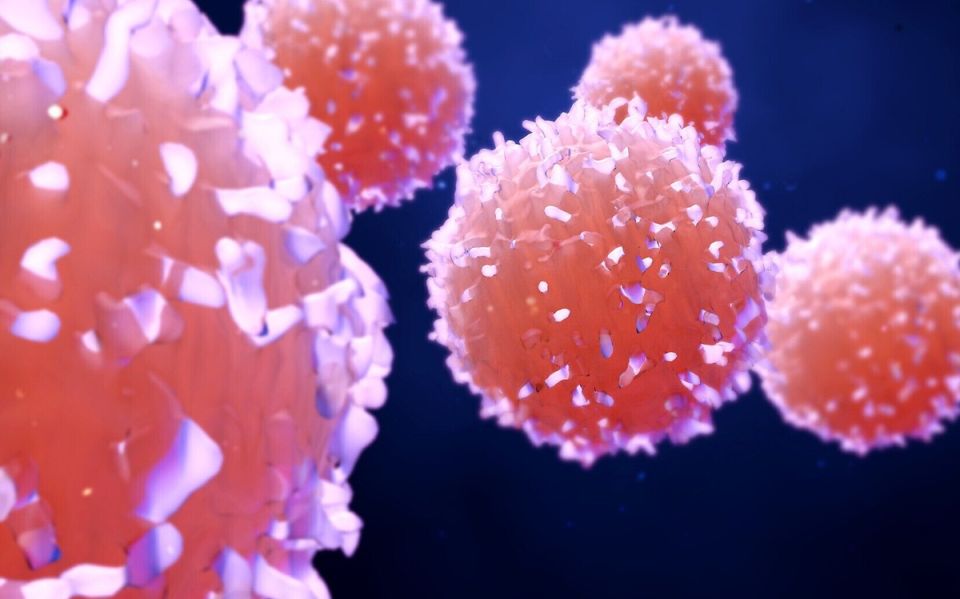 ��� ���������� � ���������� ��� ���������� ���������: ������ ������ �� ������������ ���������