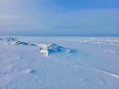 ����� �� ���� ���������� ����� ������� �����������