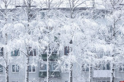 �� -15 �������� ������������ � ��������� ������� 12 �������