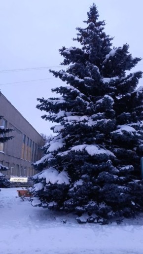 � ������� ��������: ������ ��������������� � 2026 ����