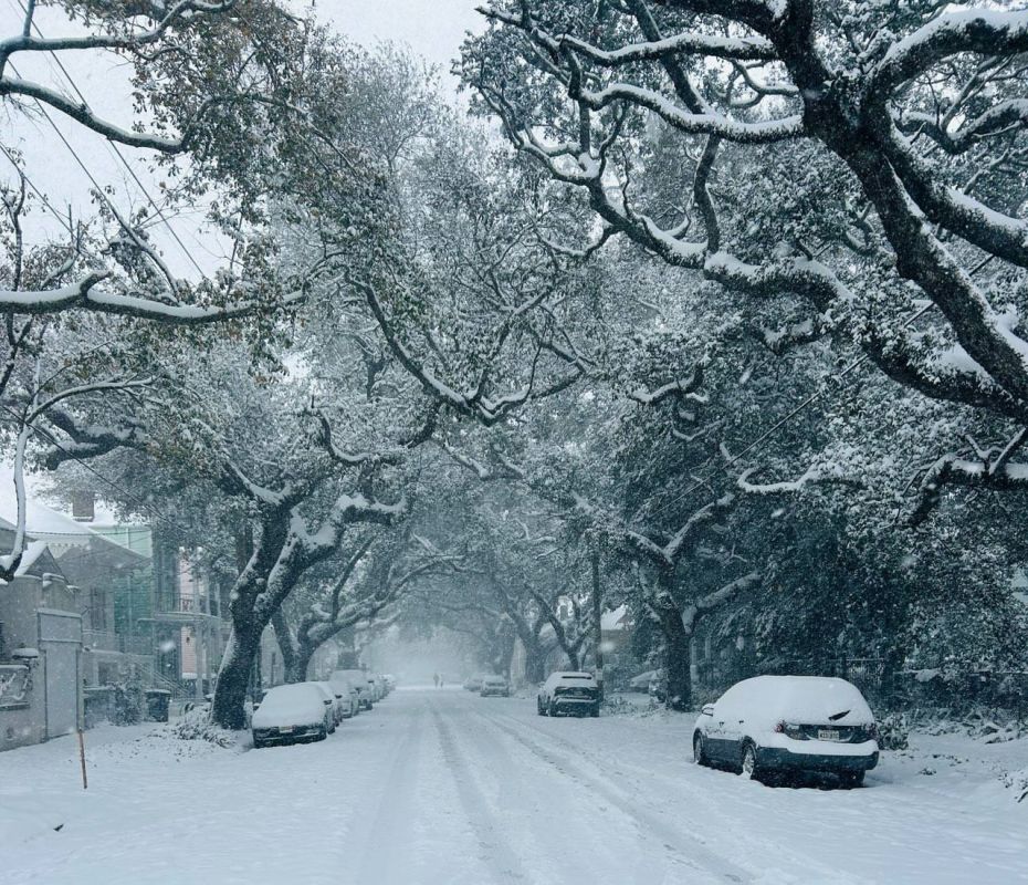 ������� ���� ��������� �� ���������� ��������� ������� 12 �������