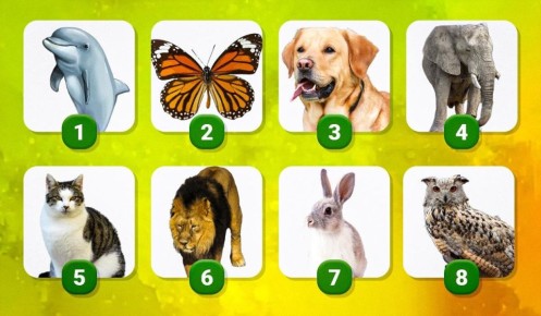 ��� ���� �������� �������� ����� �������� ���� ������� �������