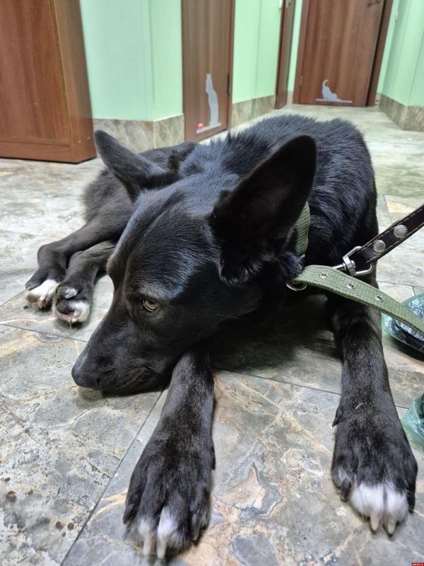 �������� �� ����� �������� �� ������ � ���������� ������