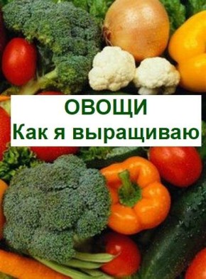 ������ ��������� ����������� ������