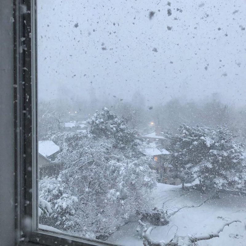 ��������� ������� ��������� � ������������� ��������� �������� ������� � ���� � 11 �� 12 �������