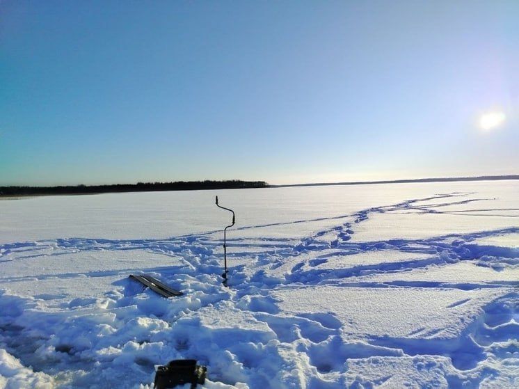 ������ � ��������� �������� ���� ��������� �������� � �������