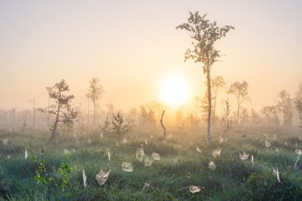 ������������ ���������� ���� ����������� ������� �������� �������������� ���� �������