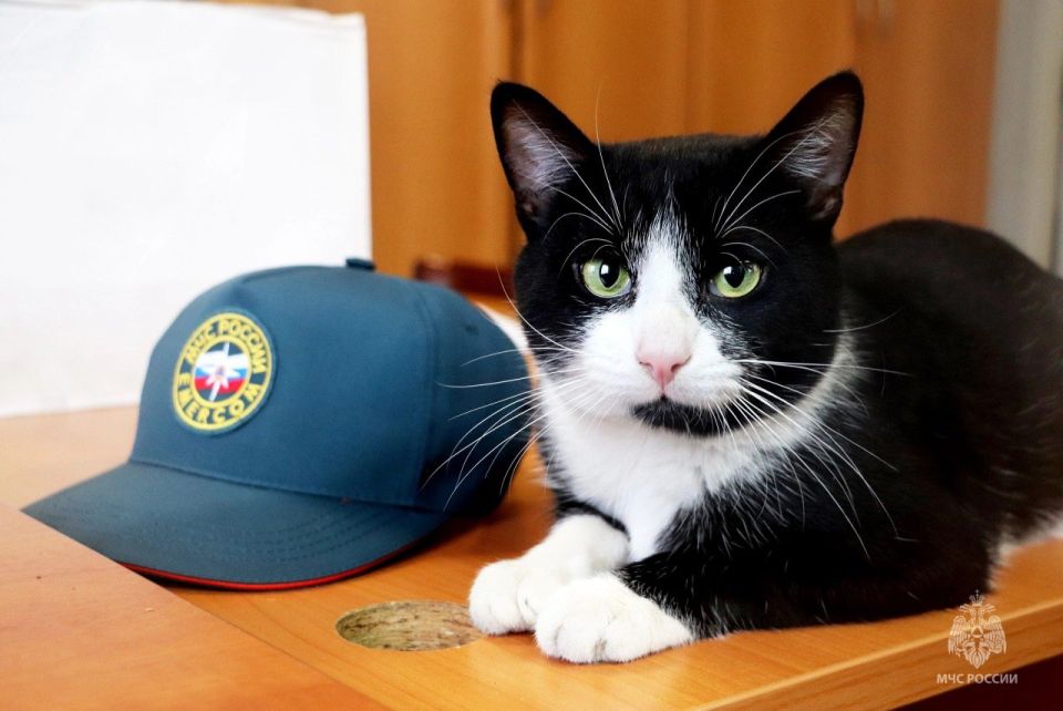 ���������� ����: ��� ������ ������ � �������, 13-��