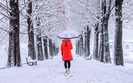 �� -11 �������� � ���� ������������ � ��������� ������� 13 �������