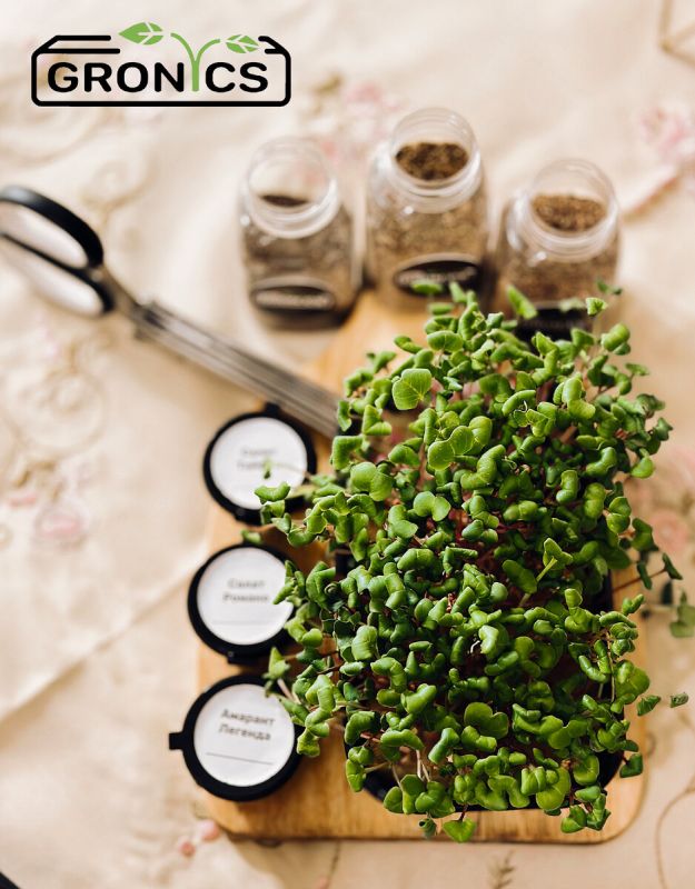 ��� ��������� ����������� � �������� ��������: �������� ������