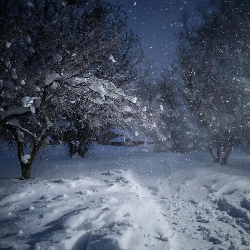 ������� ��������� ������� � ����������� �������, 13 �������, ������� �������� ������ � ������������ �������, ������������ �� -14 �������� �������