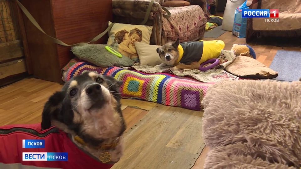 �������� ��-�� ������� ������������� ����� � ������ "���������" �������� ��������� � ��������� �����