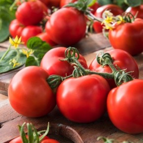 ����� ������: ������� ����������� � ������� ������������