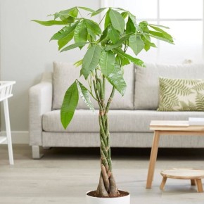 ��� �������� ������ ����� ����� �������� ������������ � ����� � ����� ����