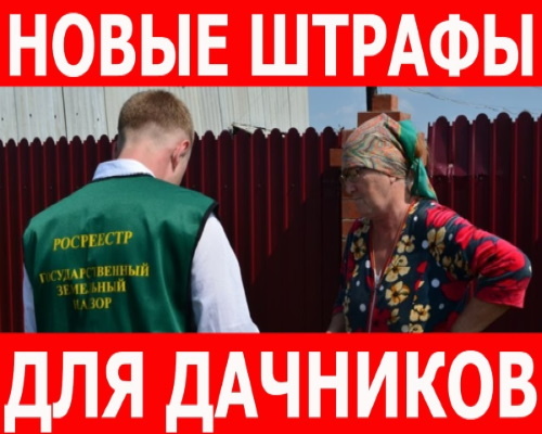 Новые правила для дачников: штрафы и контроль, которые нельзя игнорировать