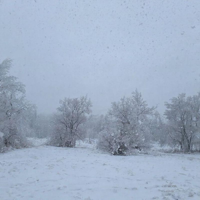 �� ������ ������������� ��������������, ������� ������� 15 ������� ������� �������� � �������� ������, ������������� �������� ������� �����������