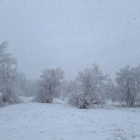 �� ������ ������������� ��������������, ������� ������� 15 ������� ������� �������� � �������� ������, ������������� �������� ������� �����������