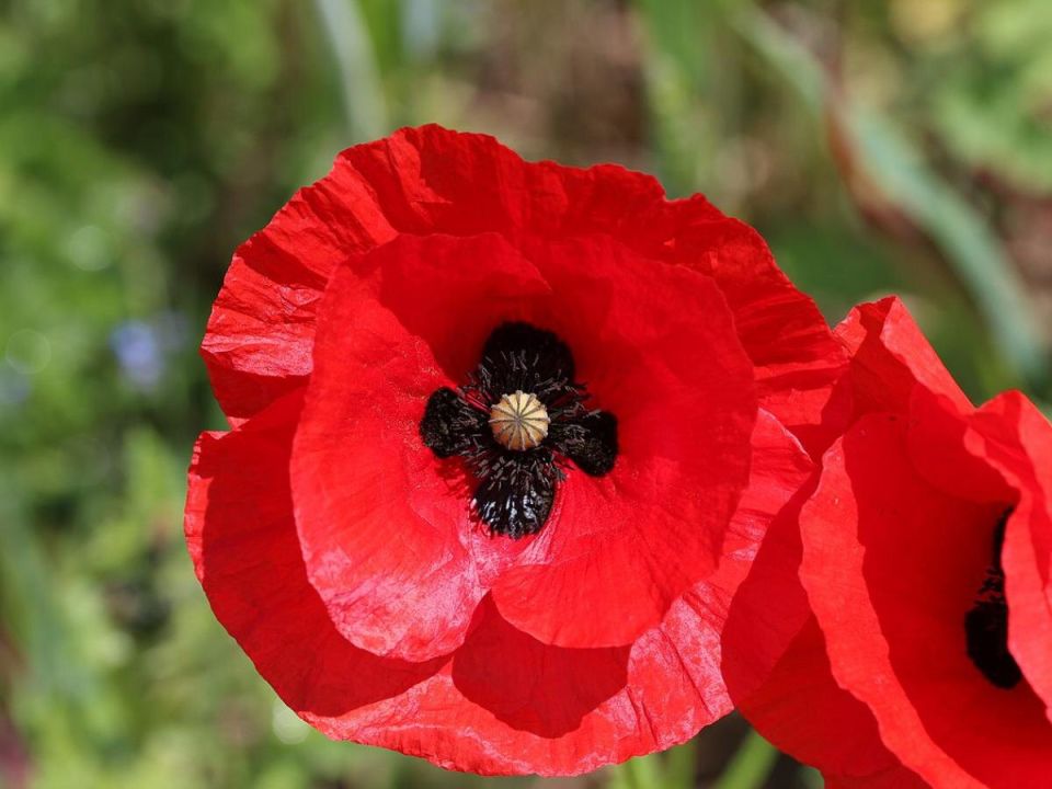 ������������ ������: ����� �������� ����� �������� ������� � ������ ��� ������?