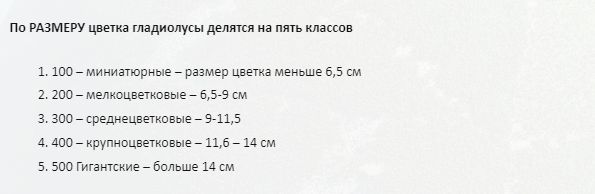 �������������� ����������: ����������, ������� ������������